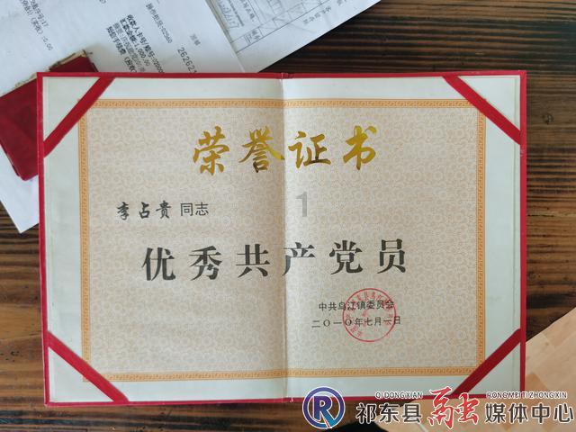 浙江杭州：原生态古楠木森林银装素裹